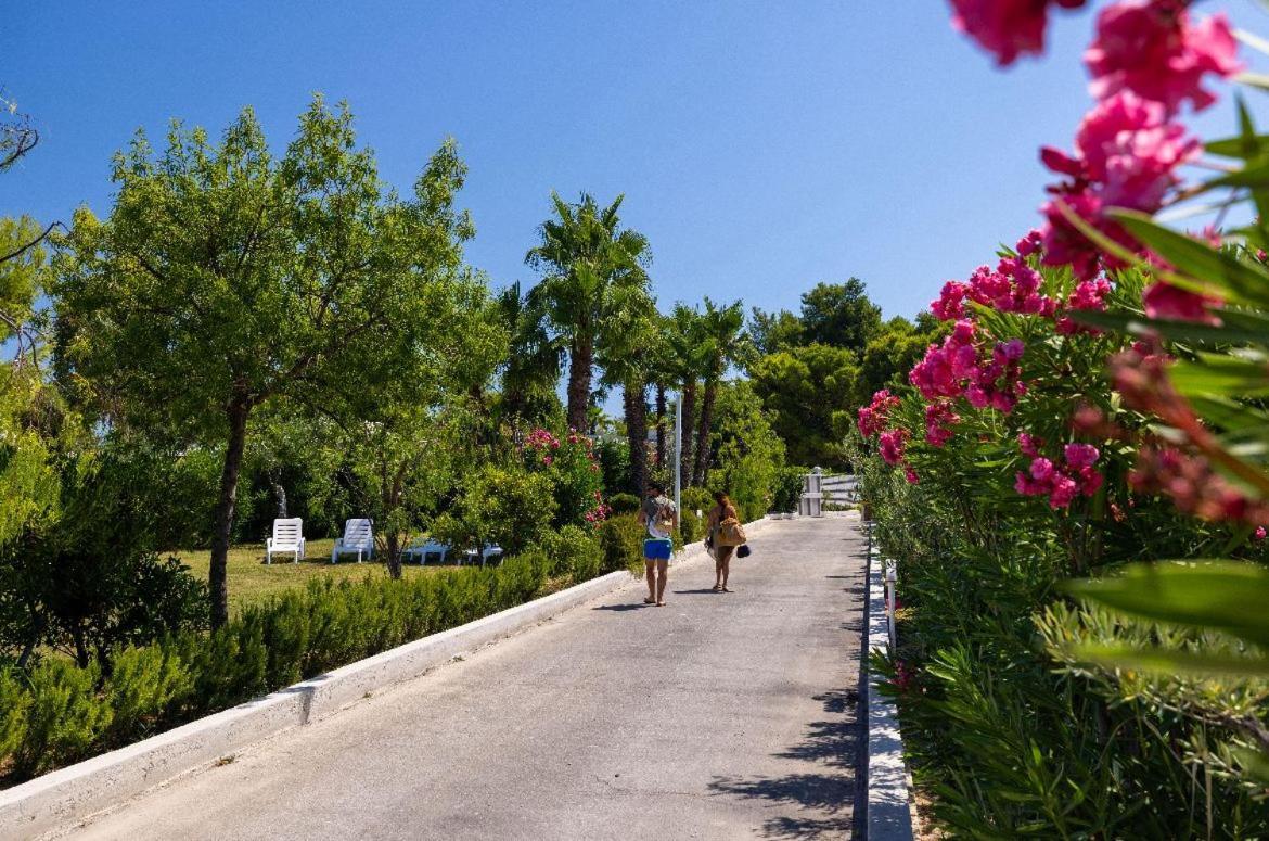 Aria Di Mare Vieste - Luxury Apartments By The Sea Exterior foto
