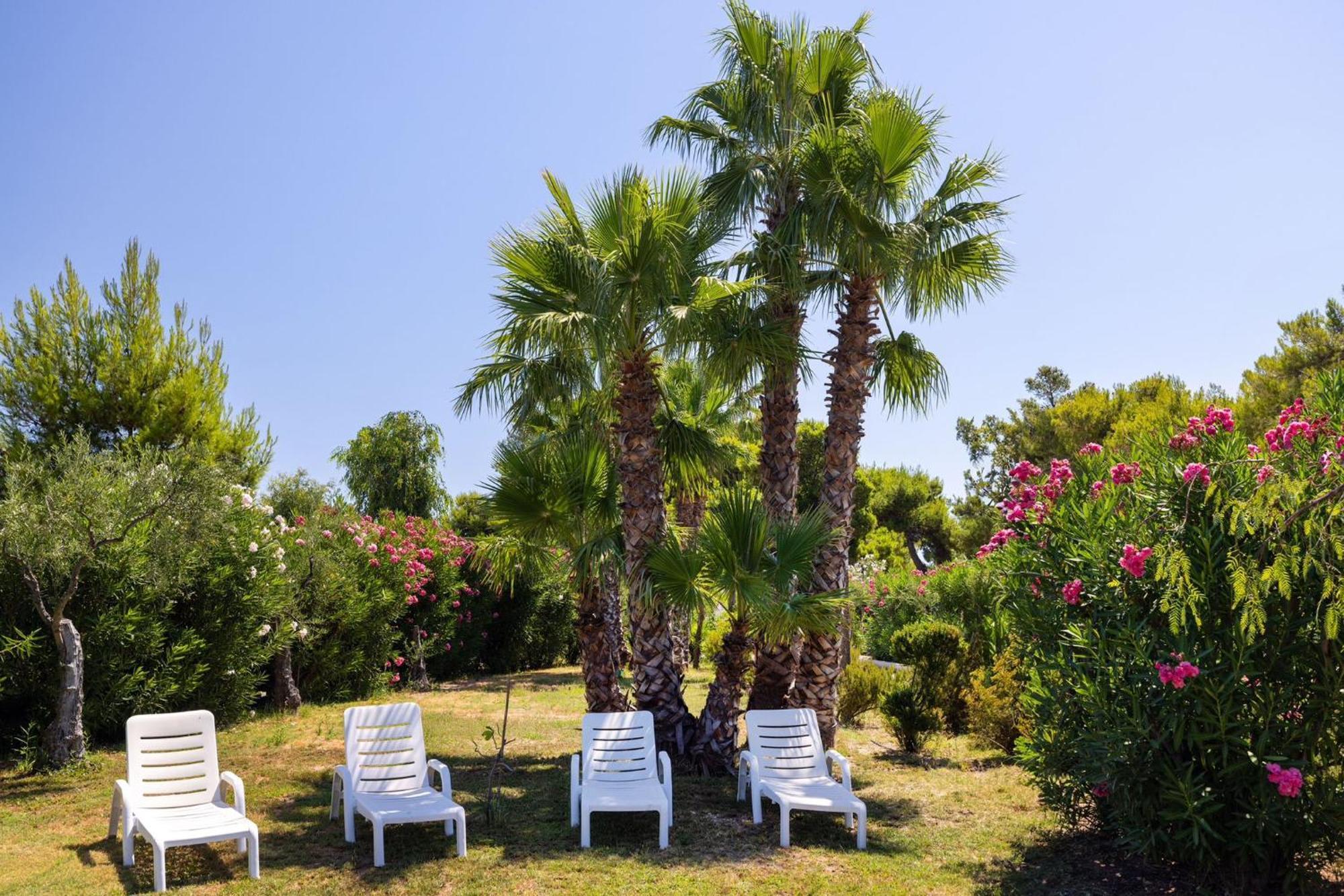 Aria Di Mare Vieste - Luxury Apartments By The Sea Exterior foto